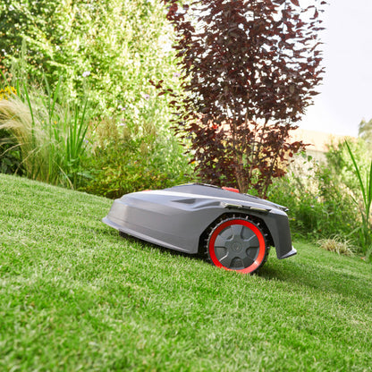 Mauriņa robots Robolinho 2350 RTK Premium