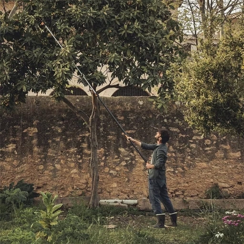 Teleskopiskās koku zaru grieznes ar zaru satvērēju Fiskars