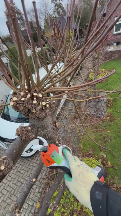 STIHL ASA 20 akumulatora atzarošanas šķēres | Ērtai un precīzai zaru griešanai